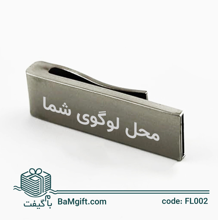 Classic Metal Clip USB Flash Drive – Model FL002